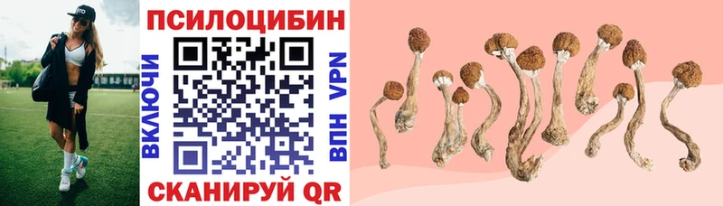 Псилоцибиновые грибы GOLDEN TEACHER  Южа 